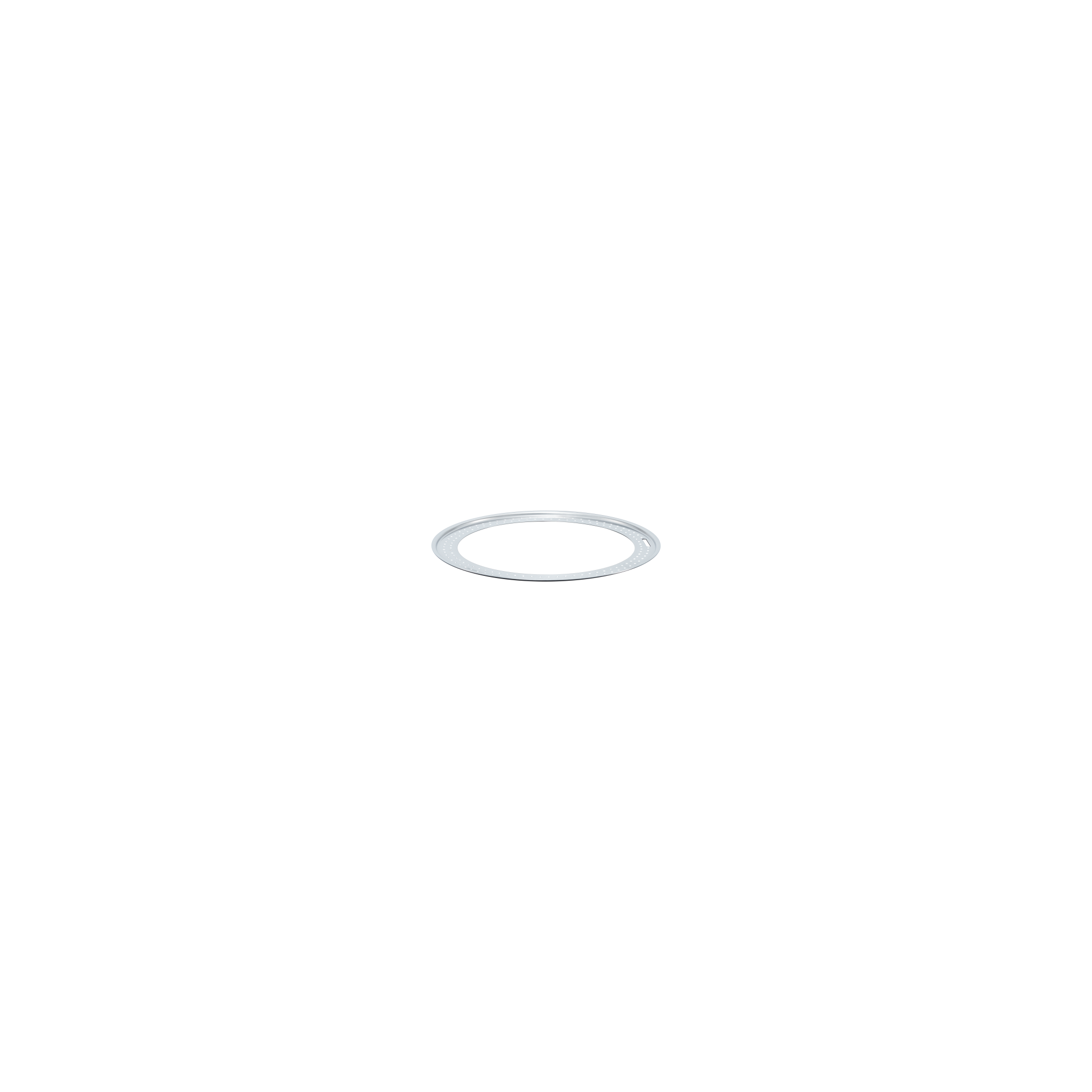 e891a95c0b53d177b2220fac59e995548fe8ed82_10017148_Ring_insert_20cm.png